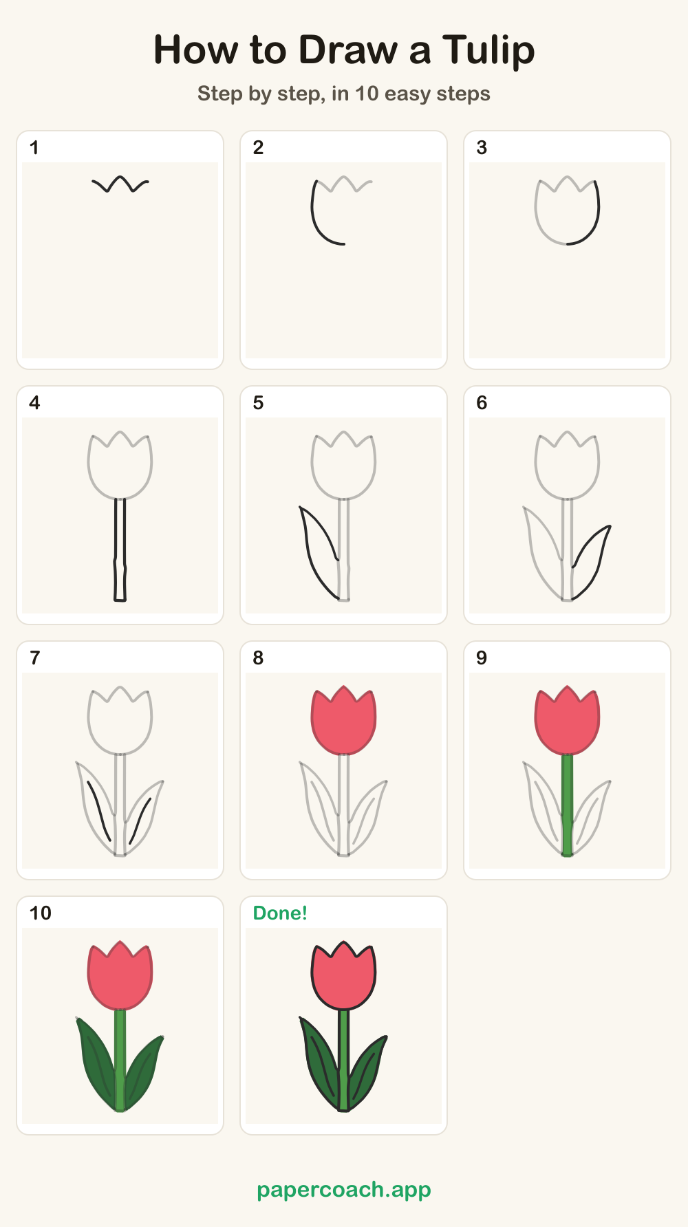 How to Draw a Tulip: all 10 steps on one page